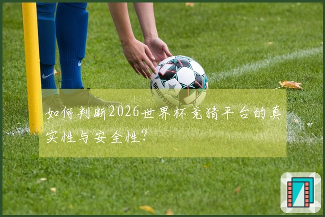 如何判断2026世界杯竞猜平台的真实性与安全性？