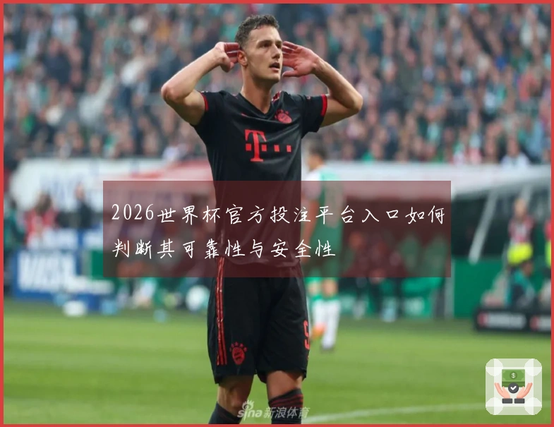 2026世界杯官方投注平台入口如何判断其可靠性与安全性