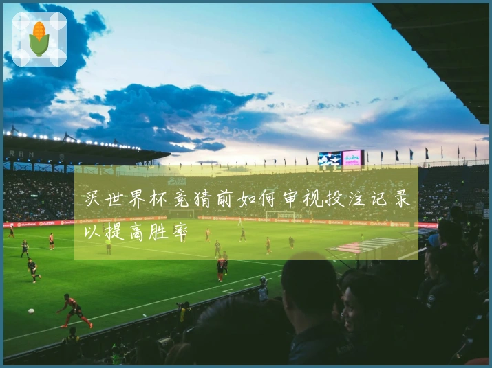 买世界杯竞猜前如何审视投注记录以提高胜率