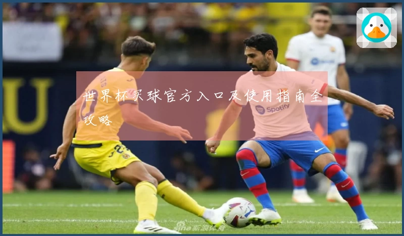 世界杯买球官方入口及使用指南全攻略