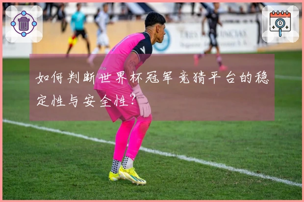 如何判断世界杯冠军竞猜平台的稳定性与安全性？