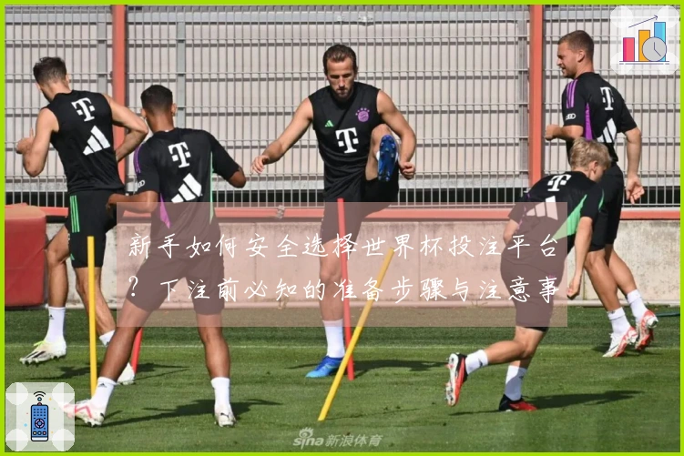 新手如何安全选择世界杯投注平台？下注前必知的准备步骤与注意事项