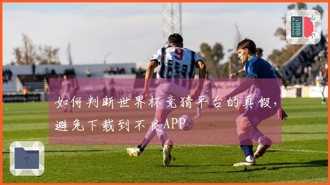 如何判断世界杯竞猜平台的真假，避免下载到不良APP
