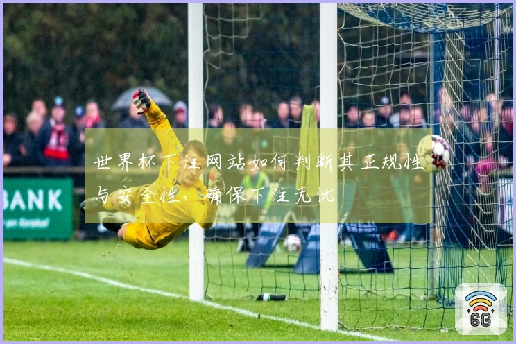 世界杯下注网站如何判断其正规性与安全性,确保下注无忧