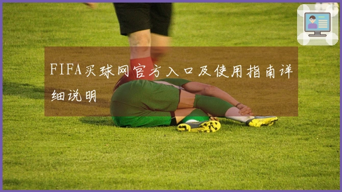 FIFA买球网官方入口及使用指南详细说明