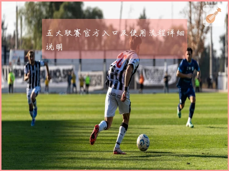 五大联赛官方入口及使用流程详细说明