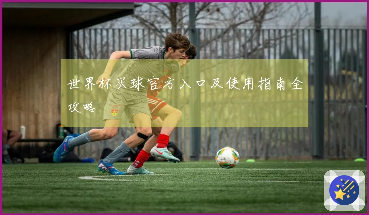 世界杯买球官方入口及使用指南全攻略