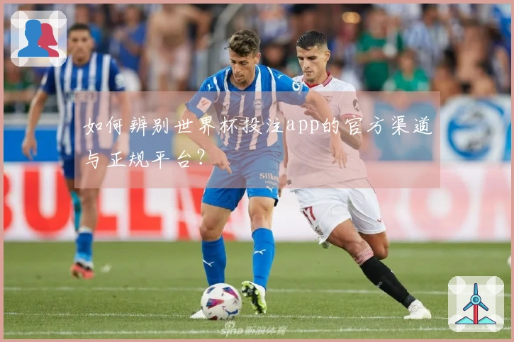如何辨别世界杯投注app的官方渠道与正规平台?