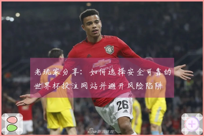 老玩家分享：如何选择安全可靠的世界杯投注网站并避开风险陷阱