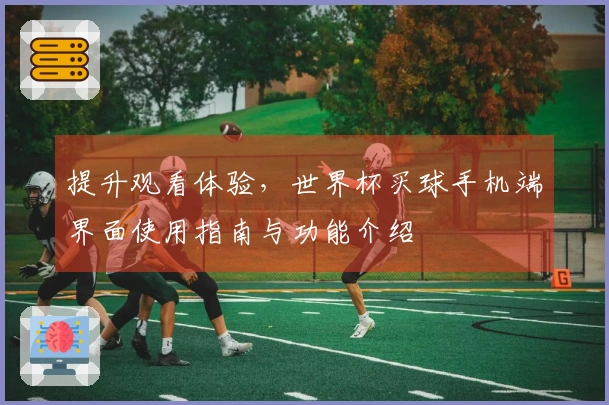 提升观看体验，世界杯买球手机端界面使用指南与功能介绍