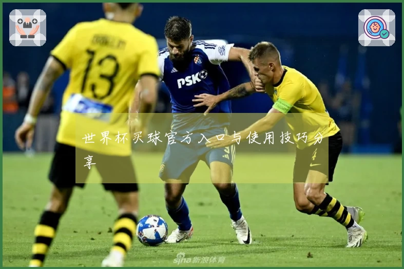 世界杯买球官方入口与使用技巧分享