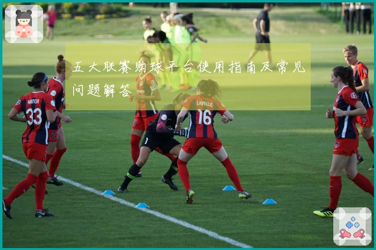 五大联赛购球平台使用指南及常见问题解答
