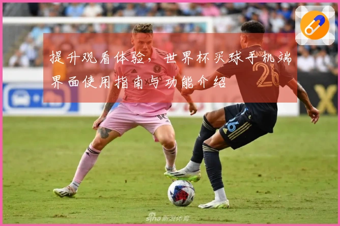 提升观看体验，世界杯买球手机端界面使用指南与功能介绍