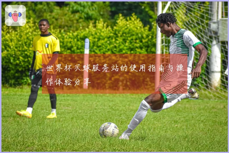 世界杯买球服务站的使用指南与操作体验分享