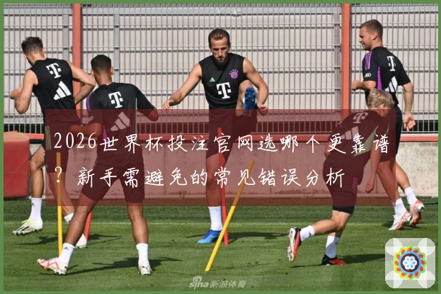 2026世界杯投注官网选哪个更靠谱？新手需避免的常见错误分析