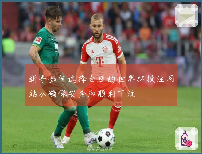 新手如何选择合适的世界杯投注网站以确保安全和顺利下注