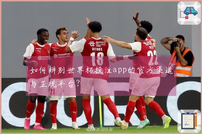 如何辨别世界杯投注app的官方渠道与正规平台？