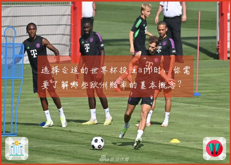 选择合适的世界杯投注app时，你需要了解哪些欧洲赔率的基本概念？