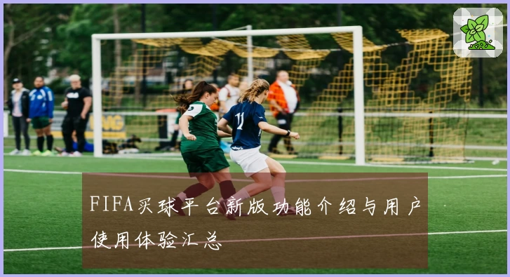 FIFA买球平台新版功能介绍与用户使用体验汇总