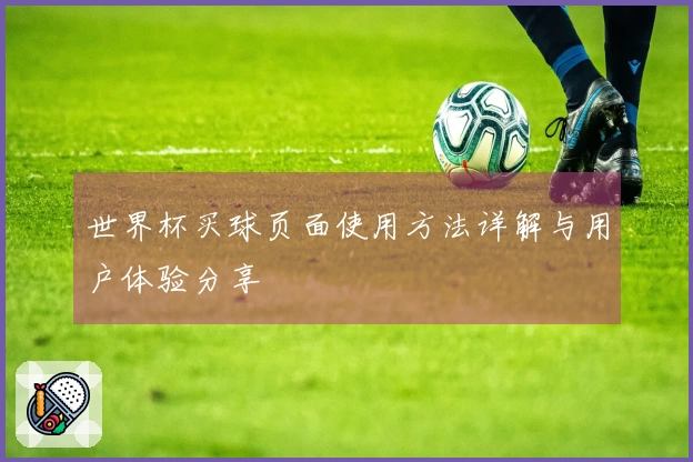 世界杯买球页面使用方法详解与用户体验分享