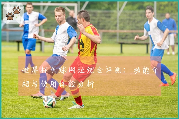 世界杯买球网址综合评测：功能介绍与使用体验分析