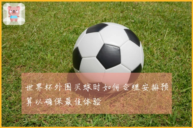 世界杯外围买球时如何合理安排预算以确保最佳体验