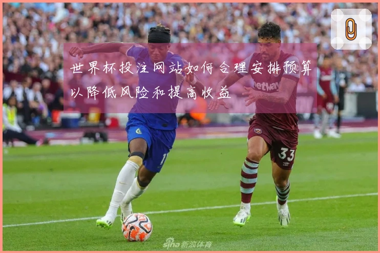 世界杯投注网站如何合理安排预算以降低风险和提高收益