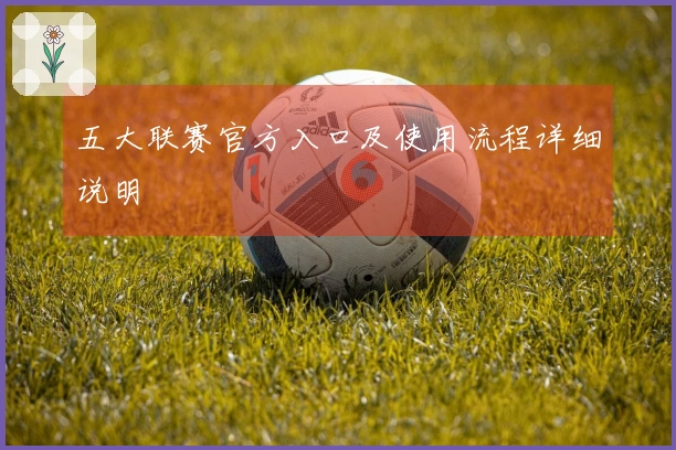 五大联赛官方入口及使用流程详细说明