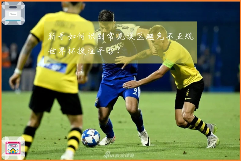 新手如何识别常见误区避免不正规世界杯投注平台？