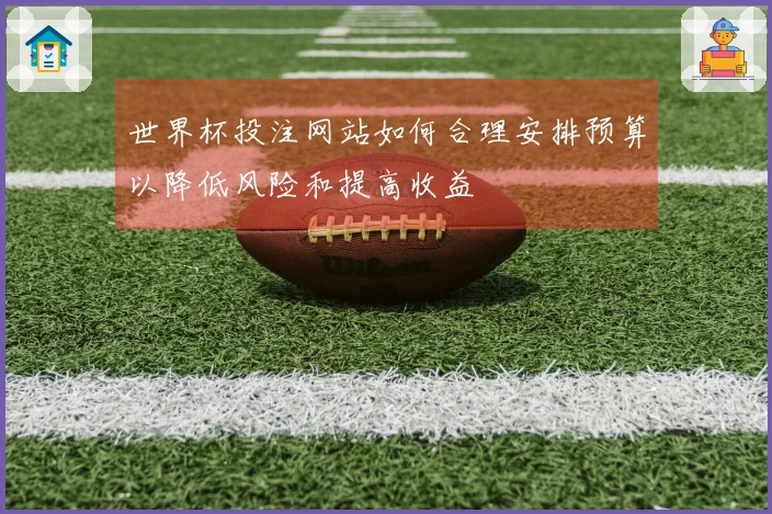 世界杯投注网站如何合理安排预算以降低风险和提高收益