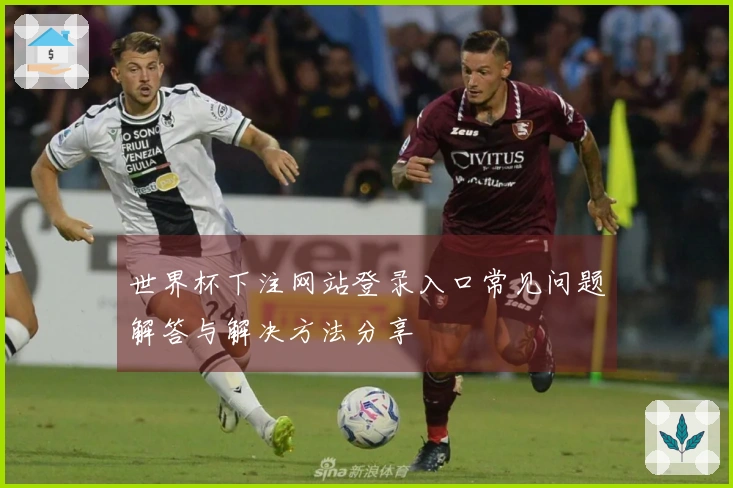 世界杯下注网站登录入口常见问题解答与解决方法分享