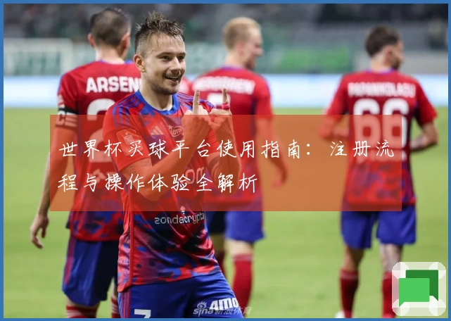 世界杯买球平台使用指南：注册流程与操作体验全解析