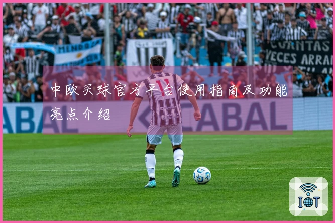 中欧买球官方平台使用指南及功能亮点介绍
